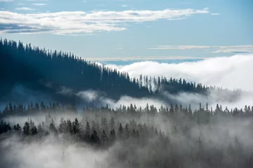 Foto auf Acrylglas Wald im Nebel Nebel steigt aus Tälern im Wald in der Slowakei Tatra-Gebirge?