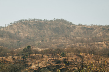 View of the dried hills in Tulshishyam, Gujarat, India