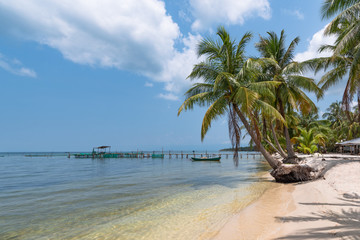 Palm trees on a beach. The old fishing houses on stilts turquoise sea.