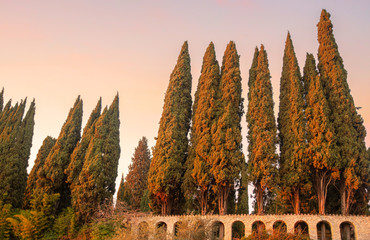 Row of cypress trees in a park with an arched perimeter wall at sunset, Sirmione, Lake Garda,...