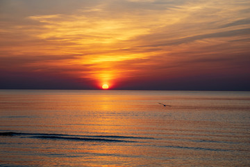 orabge colored sunset over calm sea beach water fields