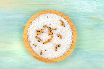 A bowl of sea salt infused with truffle shavings, shot from the top on a teal blue background with copy space