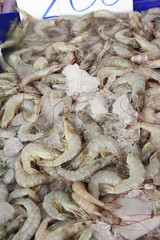 Fresh shrimp for cooking at street food