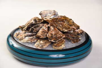 oysters on a plate