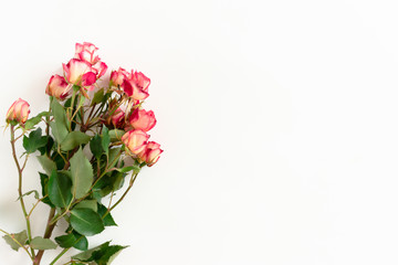 Top view of bouquet of pink roses