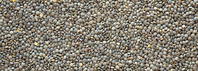 Dry green french lentils texture, top view. Closeup.