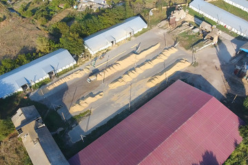 Hangar for storage of grain. A platform for drying and sintering