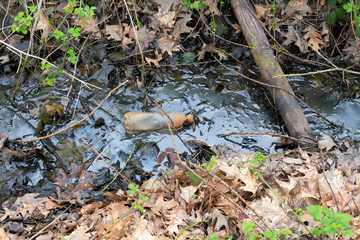 Plastic bottle in a puddle left by tourists in nature