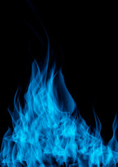 Gas flame of burning fire over black background.