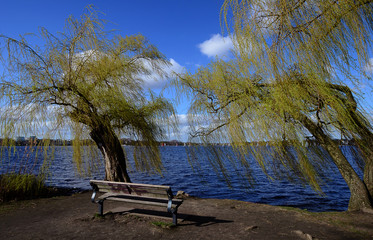 Weiden an der Alster