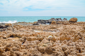 Fototapeta na wymiar Beach rocks, rocks with holes made by the waves of the sea. Spongy rocks. Set of rocks near the sea at Praia de Coqueirinho beach, Brazilian northeast beach. Costa do Conde, Conde PB Brazil.