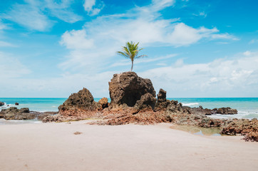 View of Praia de Tambaba beach, Costa do Conde. Famous beach by the coconut tree that grew on top of a rock. Beautiful Brazilian northeast beach. Conde PB, brazil.