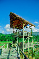 sukorame rice field, a bridge made of bamboo with tower