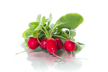 fresh organic red radish isolated on white background
