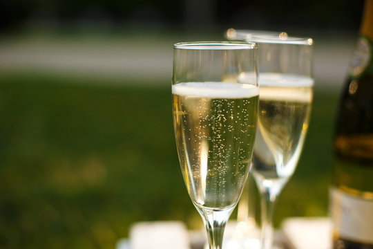 Glasses with champagne on green blurred background. Outdoors picnic weekends
