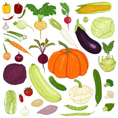 Vector Set of Cartoon Vegetables