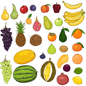 Vector Set of Cartoon Fruits