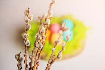 Willow bouquet close-up