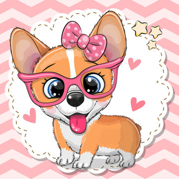 Cute Corgi dog girl in pink eyeglasses
