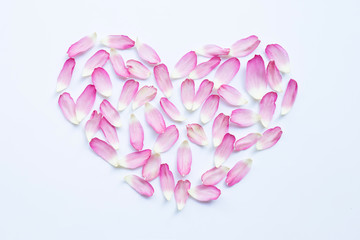 Pink lotus petals on white.