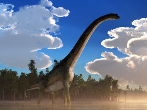 A giant sauropod, the largest of the dinosaurs and the biggest type of land animal ever, wades in a shallow lake at dawn. 3D Rendering