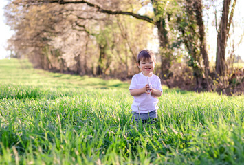 Naklejka na ściany i meble Cute happy smiling little baby boy staying in hight green grass on the field holding small plane toy at bright sunny summer day. Childhood dreams.