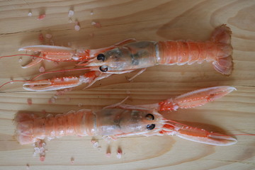 Alimento crostacei pesce