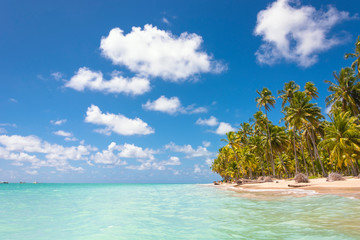 Tropical beach with palm trees and blue sky in Maragogi, Brazil.
