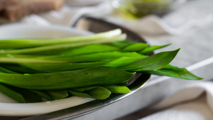Allium ursinum or bear leek delicious vitamin plant