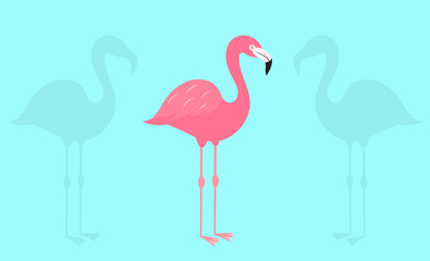 Flamingo on blue background.