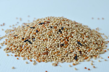 bird seed