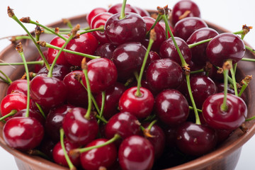 Fresh bird cherry