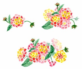 Watercolor set of three delicate bouquets of pink, yellow and red flowers of different size on a white background. Illustration.