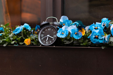 CLock between Blue flowers