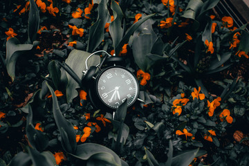 Clock in the middle of Flowers