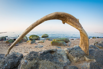 Fototapeta premium Wooden arch looks like a portal. Shore of the Baltic sea