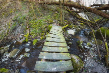 Naklejka premium Small wooden bridge over a fast stream deep in the forest