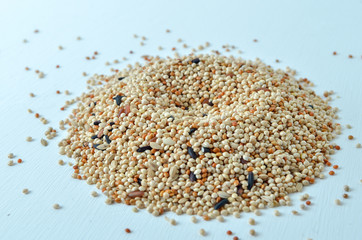 bird seed