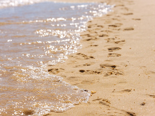 Footprints in the sand at the sea