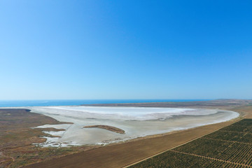 Vineyards near the salt lake. View from above