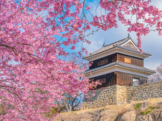 長野県上田市 上田城と桜