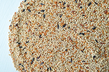 bird seed