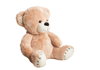 soft bear toy isolated