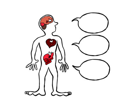 Brain heart and gut speaking