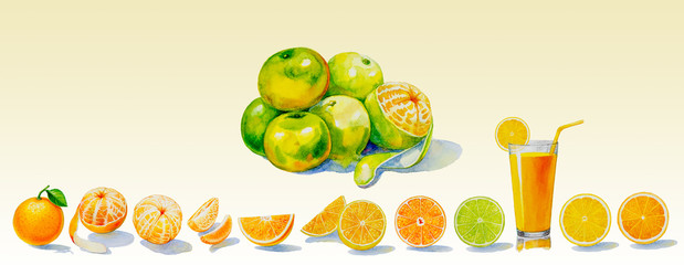 Painting summer orange collection, isolated.