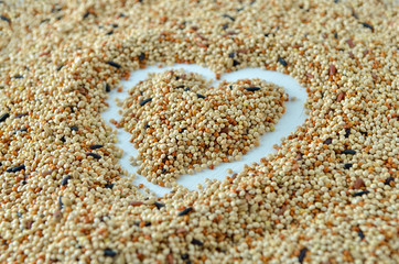 bird seed