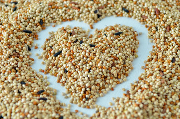 bird seed