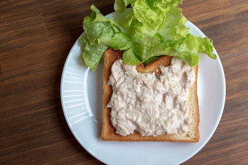 close up , top view, of tuna wtih bread on white plate.