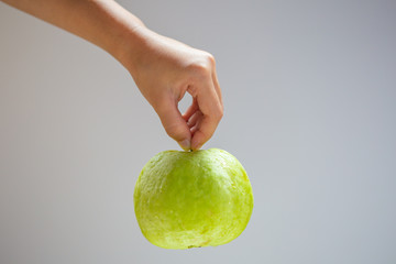 Guava in hand