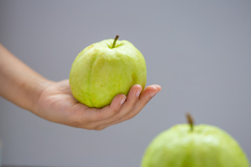 Guava in hand